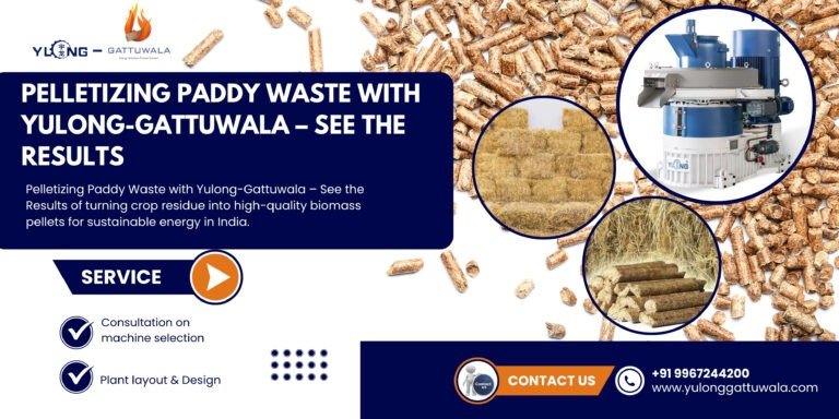 Rice Husk and Sugarcane Bagasse – Can They Be Turned into Pellets? 5 Pelletizing Paddy Waste